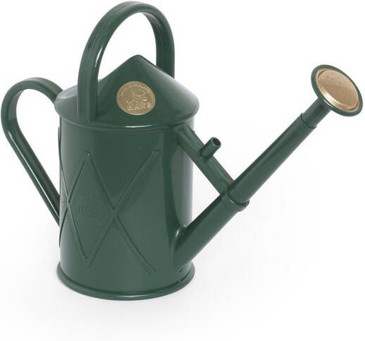 Koeman Flowerbulbs 1L Gieter Groen Haws