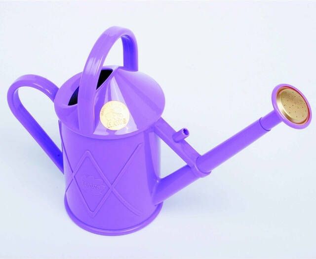 Koeman Flowerbulbs 1L Gieter Lila Haws