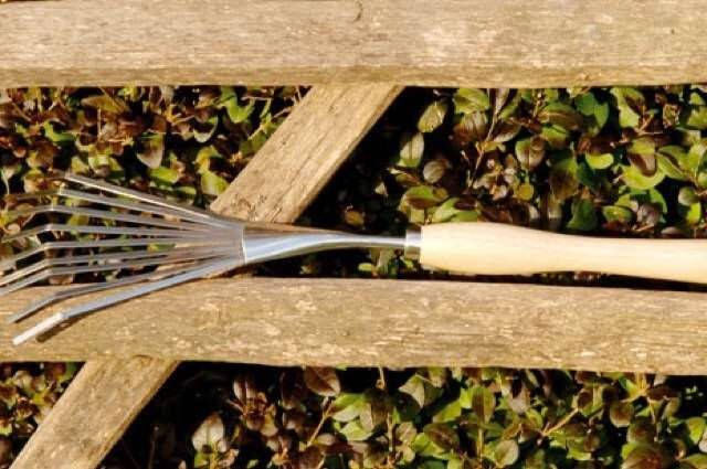 Koeman Flowerbulbs Roestvrijstalen Bladharkje met extra lange steel Burgon en Ball